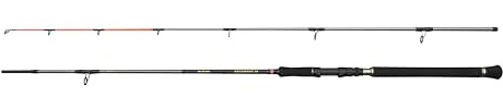 Penn Regiment IV Spin Pilk Rod, Salzwasser Angler Angeln Seefisch Kabeljau, Aal, Barsch, Seelachs, Makrele, Hai, Starkes Leichtgewicht & vielseitig, Silber, 2.40m schnelle beidhändige Rute