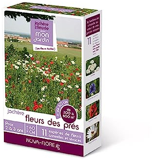 Novaflore - Prairies Fleuries : jachères Fleurs des prés 300 à 600 m2
