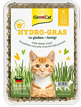 GimCat Hydro-Gras - Frisches Katzengras aus kontrolliertem Feldanbau in nur 5 bis 8 Tagen - 1 Schale (1 x 150 g)