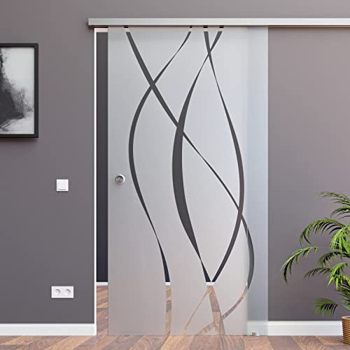 BM6-900-AS: Schiebetürsystem ESG 900x2050x8mm Dekor M6, Siebdruck; Schienensystem ALU SlimLine SoftStop; Griffmuschel