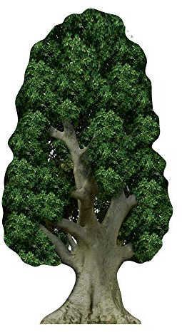 Star Cutouts SC275 Tree Cardboard Cutout 179cm – Nature Theme Decoration, Stage Display & Event Prop