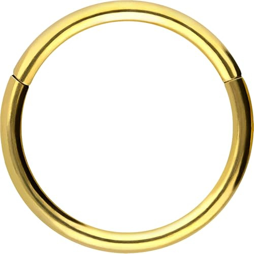 PIERCINGLINE Segmentring Clicker aus Chirurgenstahl - Piercing Ring in Gold, Silber, Rose, Schwarz oder Blau - für Nase, Septum, Ohr, Helix oder Tragus