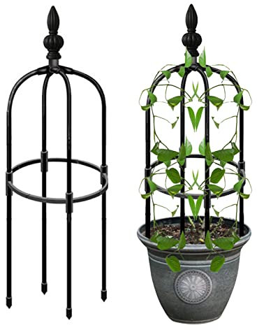 obelisco, Soporte para Plantas para Enredaderas, obeliscos, Soporte para Plantas trepadoras, Torres Flores, Rosas, obelisco, Enrejado