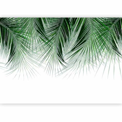 murando PREMIUM Papier peint Palmier Feuilles 200x140 cm Décoration Murale XXL Poster Tableaux Muraux Tapisserie Photo Feuilles Nature Motif vegetal Botanique Vert b-A-10317-a-a