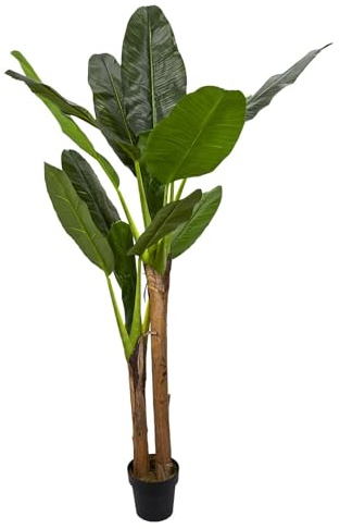 WDMT Kunstpflanze Musa – Große Bananenpflanze Ø45 x 160 cm – Naturgetreue Tropische Kunstpflanze für den Innenbereich – Pflegeleichte Zimmerpflanze – Allergikerfreundlich – Grün