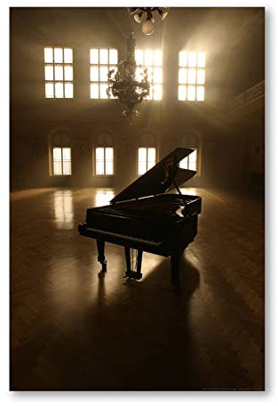 Postereck - 0148 - Konzert Flügel, Saal Musik Klavier Instrument - Wandposter Fotoposter Bilder Wandbild Wandbilder - Poster - DIN A2-42,0 cm x 59,4 cm