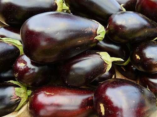 Just Seed - Organic Vegetable - Aubergine - Black Beauty - 30 Seed - Economy Pack