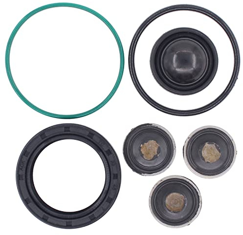 Doo Engy Hochdruckpumpe Benzinpumpe Einspritzpumpe Membranen Reparatursatz für Vectra C Signum Astra H Zafira B 2.2 DGi Direct C5 406 2.0 HPI