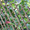 Suinga Celosia de Mimbre de 100 x 200 cm, para enredaderas. Útil para jardines, vallas, decoración, sujeción de plantas, marrón