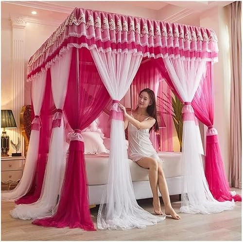 EsEntL 4 Ecken Pfosten-Himmelbett-Vorhang, Prinzessin, bestickte Spitze, Rüschen, Betthimmel, Betthimmel-Vorhang für Mädchen und Erwachsene, Doppellagiges, durchsichtiges Mesh-Moskitonetz