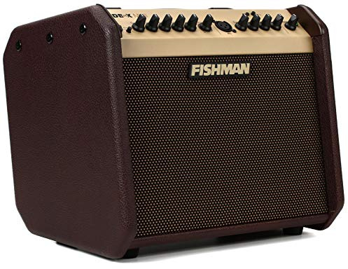 Fishman PRO-LBT-600 Amplificateur pour guitare acoustique Loudbox Mini Bluetooth