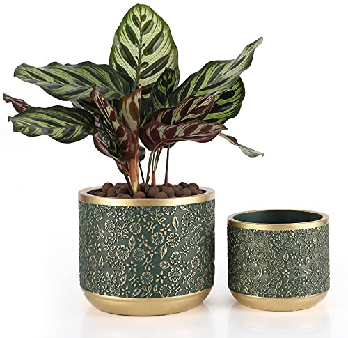 Ten-stone Macetas de Cemento de 6 + 4.4 Pulgadas con Orificio de Drenaje para Plantas de Interior (Dorado/Verde)