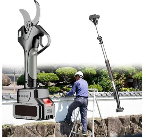 DMBBSAPBSH Tijeras de Podar Eléctricas, Podadora de jardín inalámbrica for Ramas de árboles, con Varilla de extensión de 2,1 m de Altura, 2 baterías