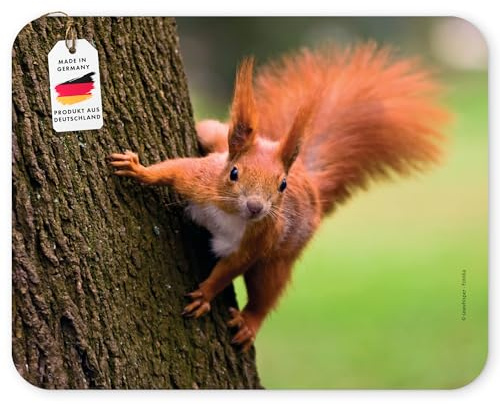 Mauspad Eichhörnchen – Tierpostkarten-Design | Spezialkautschuk, haftende Unterseite, niedliches Tier-Mauspad für Büro, Homeoffice & als Geschenk für Tierfreunde