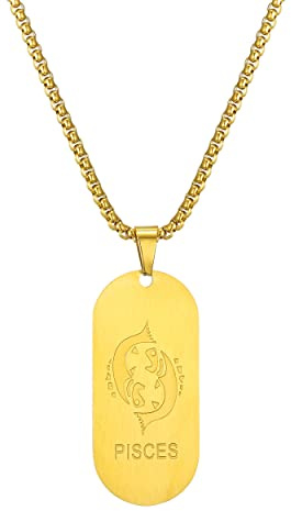 AFSTALR Gold/Silber/Schwarz Kette 12 Sternbilder Halskette Herren Tierkreis Kette Dog Tag Anhänger Konstellation Kette