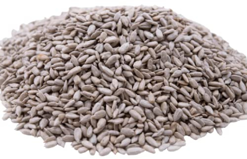 Unsalted Sunflower Seed Kernels by Gerbs – 2 LBS - Top 11 Food Allergen Free & Non GMO - Premium Dry Roasted Shelled Sunflower Seeds – COG USA