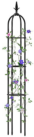 RADAAB Rankhilfe Obelisk - Kletterhilfe für Pflanzen, Rosen und Reben - Rostschutz - Top Kronen-Kunstdesign - Passend für Innen- und Außenbereich (Size : 25cm Dia. x 190cm H)