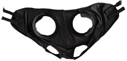 Fenteer Reitbrille, Augenschutz, Polyester, reduziert Sichtbehinderungen, Fliegenmaske, Augenschutzhaube für Pferde, Schwarz