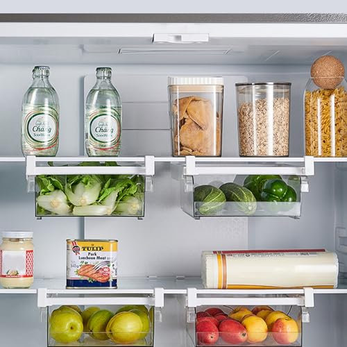 Fangoo 2 Piezas Organizador de Almacenamiento para Frigorífico Cajones Extraíbles para Nevera Retráctil Cajones De Frigorífico Transparentes Organizador de Refrigerador Para Huevos (Estilo 1)