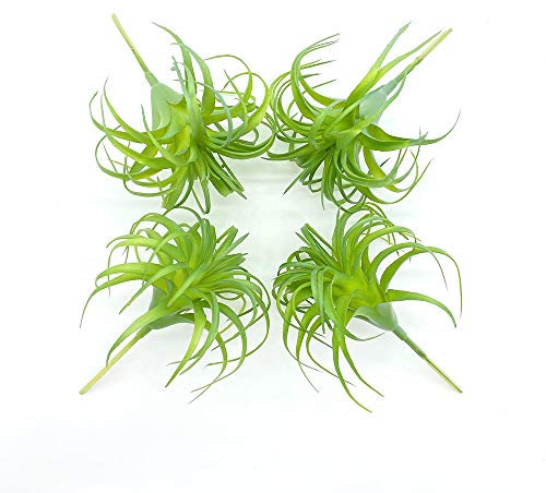 ZKTECH 4 Stück künstliche Pflanzen Kunstpflanzen Gras künstliche Tillandsien Luftpflanzen Bromelien für Heimdekoration Terrarienprojekt Grünpflanzen künstliche Sukkulenten Pflanzen