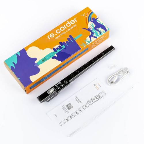 Artinoise RE.CORDER FLUTE BK - Elektronische Sopranflöte mit Midi und Wireless, Schwarz