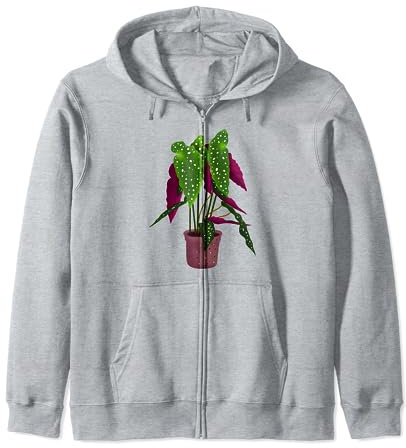 Cute Begonia Maculata houseplant in the pot floral for girl Zip Hoodie