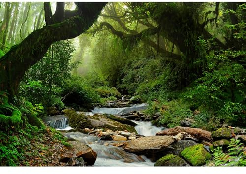 Jungle Backdrop Foggy Rainforest Jungle Landscape Photography Background Stream Lush Green Plants Nature Scene Backdrops Wallpaper Backdrop Portrait Video Shoot Studio Props Vinyl 7x5ft