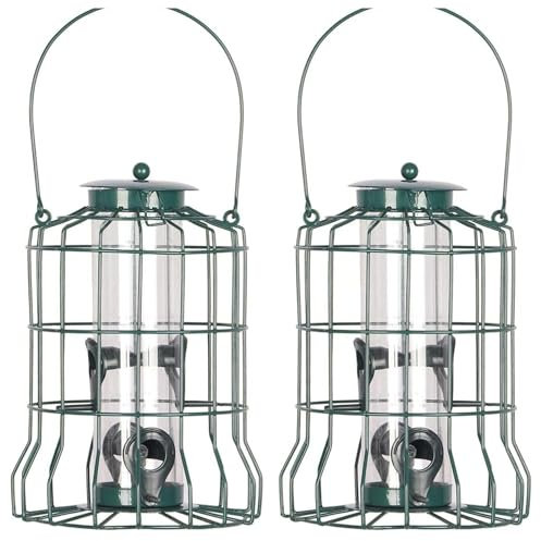 2 PACK - Squirrel-Proof Caged Nut Wild Bird Feeder – Deters Squirrels, Pigeons, and Doves – Ideal for Small Birds – Heavy-Duty Outdoor Garden Feeder (2)