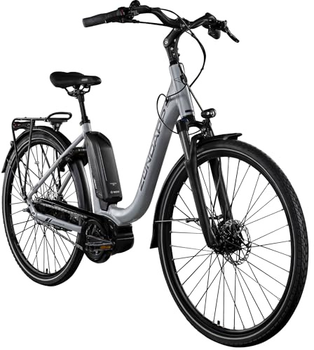 ZÜNDAPP X300 E Bike 28 Zoll Damen 155-180 cm Elektrofahrrad mit Fahrrad Mittelmotor und 7 Gang Nabenschaltung Rücktritt eBike tiefer Einstieg Nexus (Silber/lila, 51 cm)