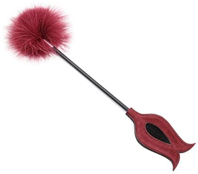 Chatouilleur de plumes de sexe et de la main, bdsm chatouilleur français, chatouilleur sexe shoot SM jouets pour adultes, accessoires de flirt de plumes pour adultes