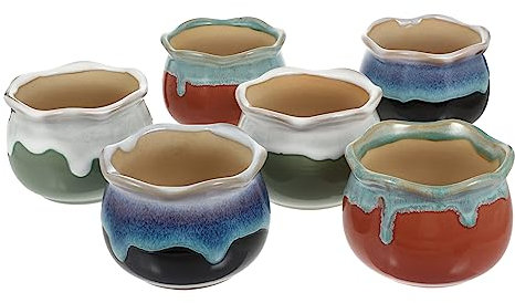 BESPORTBLE 6pièces Pots De Fleurs pour Plantes Succulentes Décoration De Maison Colorée Et