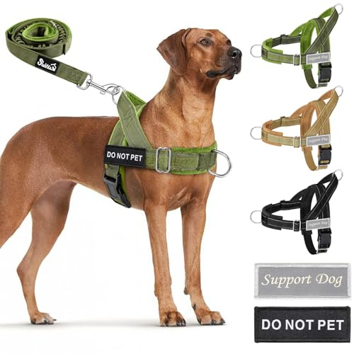 Eyein Hundegeschirr für große Hunde mit Leine, Fleece-gepolstert | Anti-Zug Brustgeschirr mit 2 D-Ringen für Training & Spaziergänge, reflektierend, verstellbar an Hals & Brust (Grün, L)