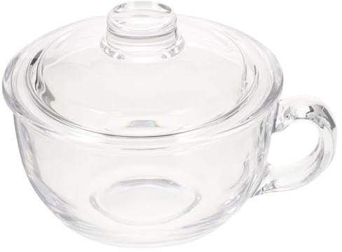 Toyvian Bol à Flocons d'Avoine en Verre Transparent 450Ml Couvercle pour Petit-Déjeuner et Salade