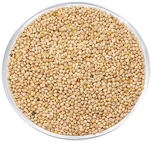 Leimüller Gelbhirse 25 kg | Natürliche, gelbe Futterhirse aus Österreich | Ideal als Vogelfutter, Hühnerfutter, Hirse Streufutter für Enten, Wachteln | Hervorragende Eiweißquelle für Vögel, Hühner