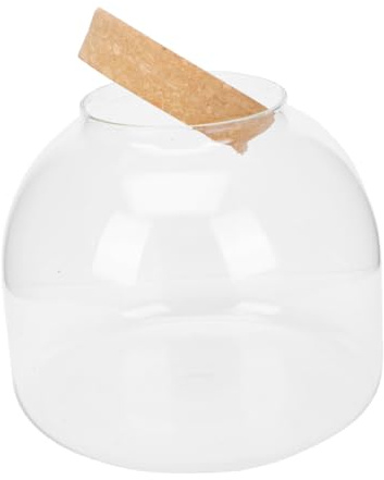 Gadpiparty Ökologische Glasflasche Mikrolandschaftsflasche Mit Moos Für Innen Und Außendekoration Für Büro Und Wohnzimmer