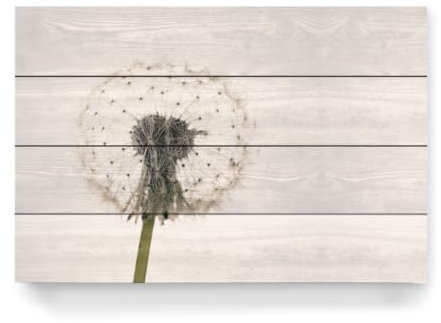 artboxONE Holzbild 60x40 cm Natur Eine Pusteblume von Künstler Die Welt Tanzt Farben