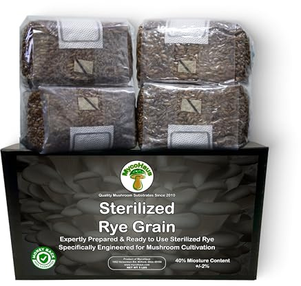 MycoHaus Pilzzucht-Set mit Injektionsöffnungen, sterilisiertes Roggenkorn, magische Wachstumsbeutel für Pilze, Heimzuchtbedarf, ohne Sporen, 0,5 kg (6 Stück)