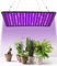 PERMUST Pflanzenlampe Led Vollspektrum,LED Grow Lampe Vollspektrum mit UV IR Pflanzenlampe mit 1.25 Meter Kabel für Zimmerpflanzen und Gewächshaus Gemüse und Blumenanbau für Growzelt 60x60cm