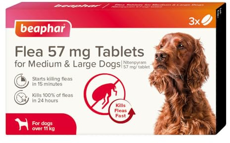 Beaphar - Flea Tablets for Medium/Large Dogs (>11kg) - 3 Treatment Pack - Rapid Knock Down of Fleas - Starts Killing Fleas In 15 Minutes, Kills 100% in 24hrs - Veterinary Medicine For Dogs > 4 Weeks