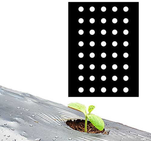 Stronrive Mantillo para Jardín, 10 Metros De Mantillo Antihierbas, Mantillo Vegetal para Jardín, Mantillo Antihierbas con 5 Orificios para Plantar