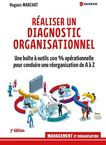 Réaliser un diagnostic organisationnel: Une boîte à outils 100 % opérationnelle pour conduire une réorganisation de A à Z (Management)