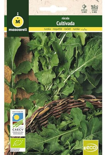 Mascarell Semillas, RUCOLA CULTIVADA, Semillas Ecológicas, 5 Gramos