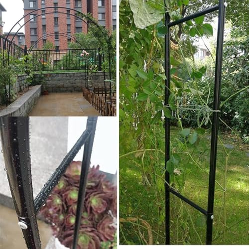 Arche de jardin en métal pour décoration de mariage, treillage de plantes grimpantes, tonnelle d'extérieur pour roses, disponible en 80 x 200 cm, 140 x 230 cm, 180 x 220 cm – et élégante décoration de