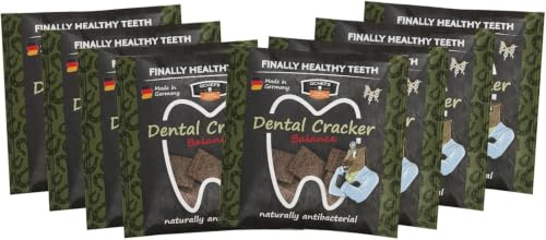 QCHEFS Paquete de 8 galletas para cepillos de dientes, cuidado dental natural, sin cepillo, para el sarro y el mal aliento, limpieza diaria de los dientes