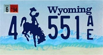 OPO 10 - Plaque D' IMMATRICULATION de Voiture USA - réplique en métal 30x15 cms : Wyoming (C50)