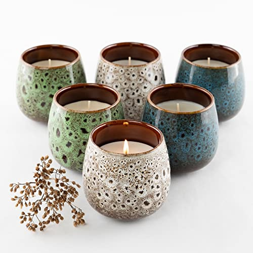 HOFER 6 x Premium Citronella-Schale | Windlicht Outdoor | Hochwertige Citronella Kerze im Keramiktopf mit Citronella-Duft | Outdoor Kerzen für Gartenparty | Deko für draußen