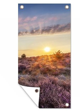 MuchoWow Outdoor-Poster Poster Wanddeko draußen Deko Garten Gartenposter 30x60 cm Blühendes Heidekraut bei Sonnenuntergang in den Niederlanden