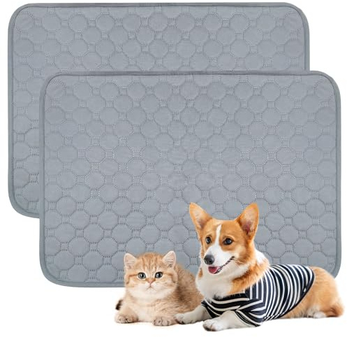 2 Stück Welpenunterlagen Waschbar- Hunde Trainings Pads, 50 x 70 cm, Waschbare Welpen Unterlagen, Super Saugfähig Hunde PIPI Pads, Wasserdicht und rutschfest, für das Hundetraining, Böden, Autos