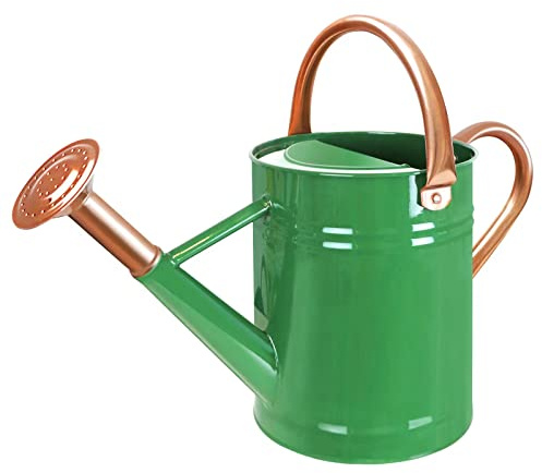 Metal Watering Can with Removable Spout, Galvanized Steel Plants Water Can for Women, Men and Kids' Outdoor or Indoor Gardening - Nice Flower Watering Pot Gift & Decoration (Green, 1 Gallon)