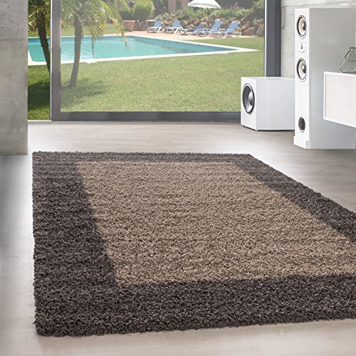 SIMPEX Teppich Wohnzimmer Shaggy Moderne Bordüre Design Taupe 300 x 400 cm - Hochflor Teppich Schlafzimmer Extra Weich und Pflegeleicht - Flauschiger Teppich Langflor für Küche Carpet Living Room